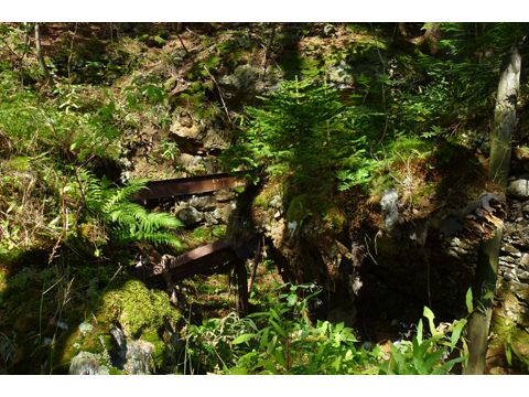 Foto 17